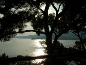 Le Lavandou